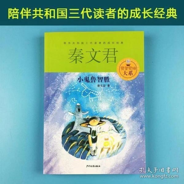 少女安娜开演唱会